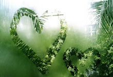 足球强队硬碰硬，战火重燃赛场风暴